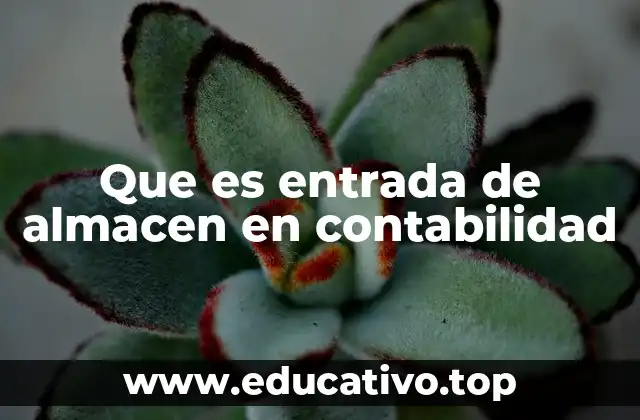 Que es entrada de almacen en contabilidad