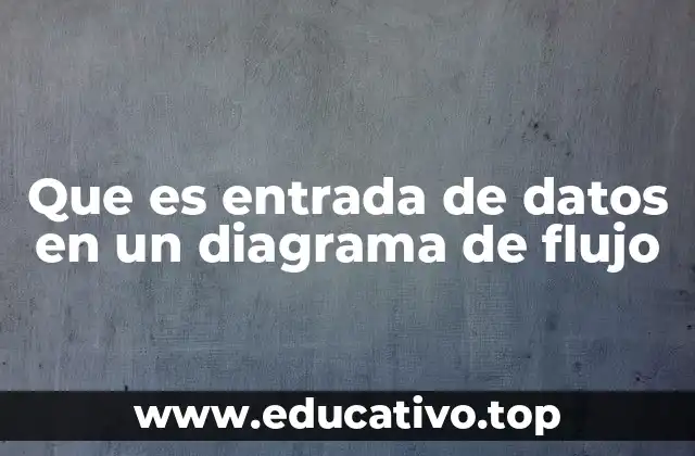 Que es entrada de datos en un diagrama de flujo