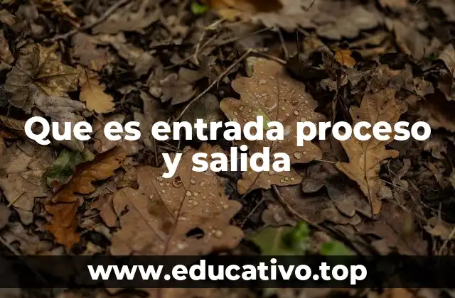 Que es entrada proceso y salida