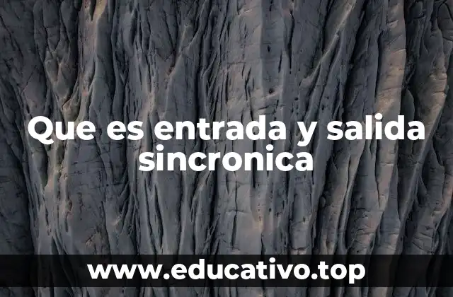 Que es entrada y salida sincronica