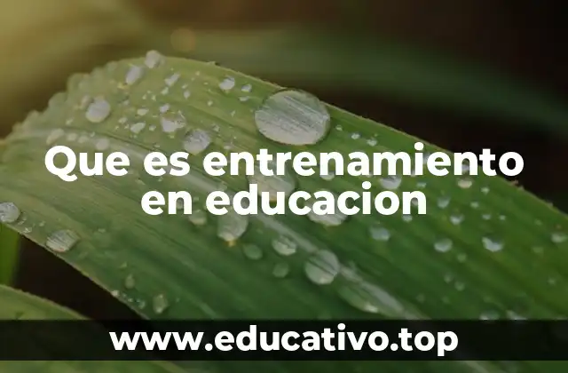 Que es entrenamiento en educacion