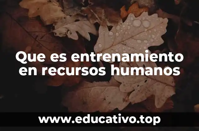 Que es entrenamiento en recursos humanos
