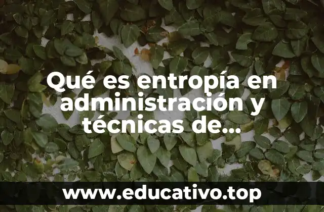Qué es entropía en administración y técnicas de mantenimiento