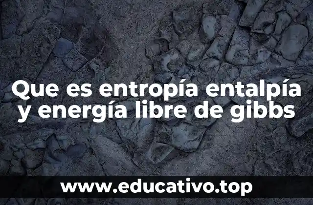 Que es entropía entalpía y energía libre de gibbs
