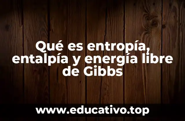 Qué es entropía, entalpía y energía libre de Gibbs