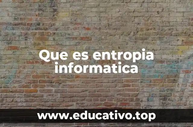 Que es entropia informatica