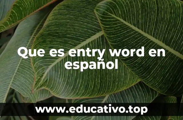 Que es entry word en español