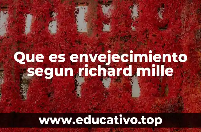 Que es envejecimiento segun richard mille