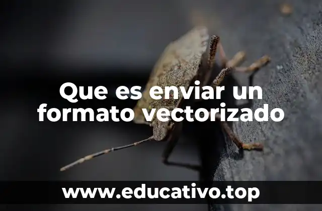 Que es enviar un formato vectorizado
