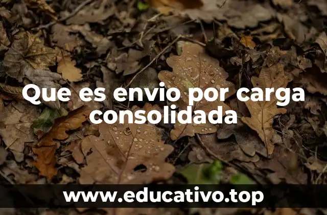 Que es envio por carga consolidada