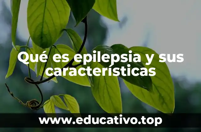 Qué es epilepsia y sus características