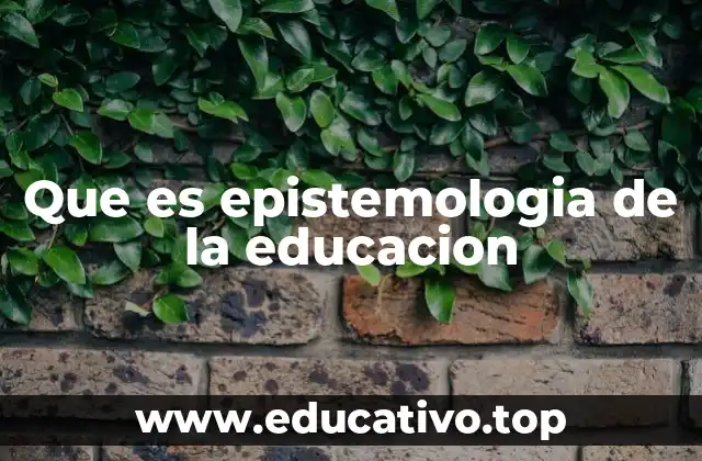 La relación entre educación y conocimiento
