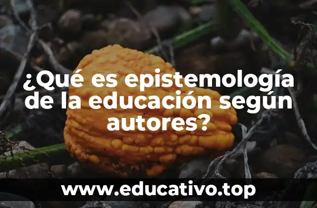 ¿Qué es epistemología de la educación según autores?