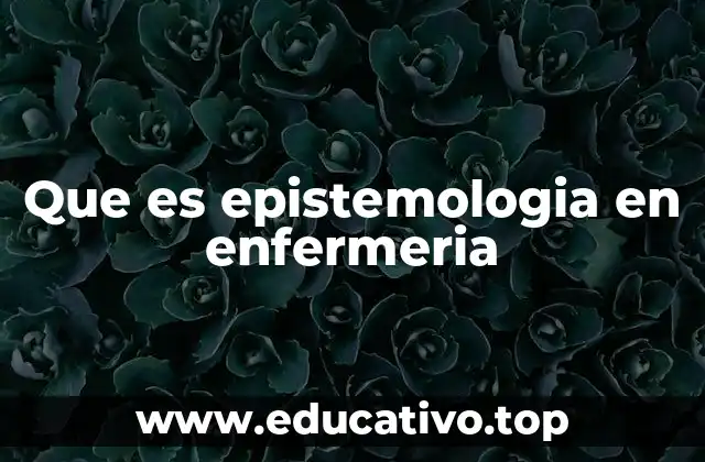 Que es epistemologia en enfermeria