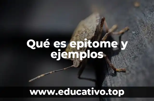 Qué es epitome y ejemplos