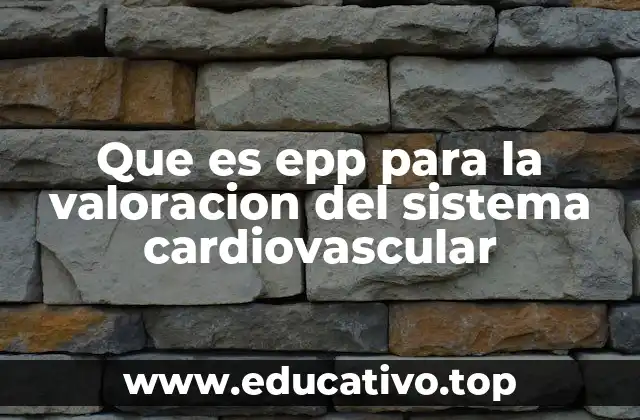 Que es epp para la valoracion del sistema cardiovascular