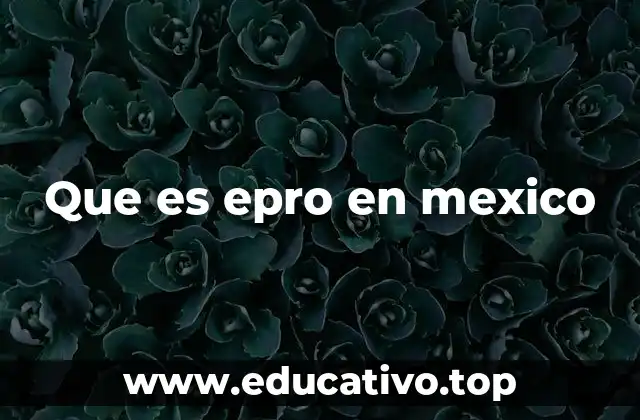 Que es epro en mexico