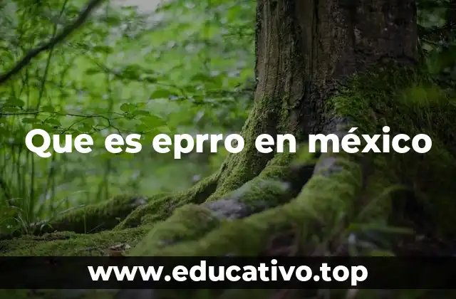 Que es eprro en méxico