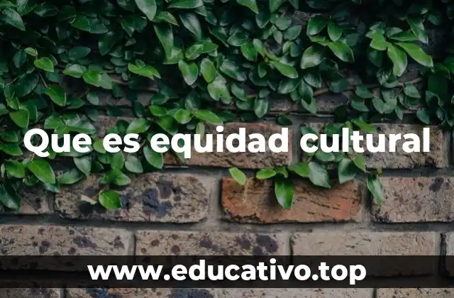 Que es equidad cultural