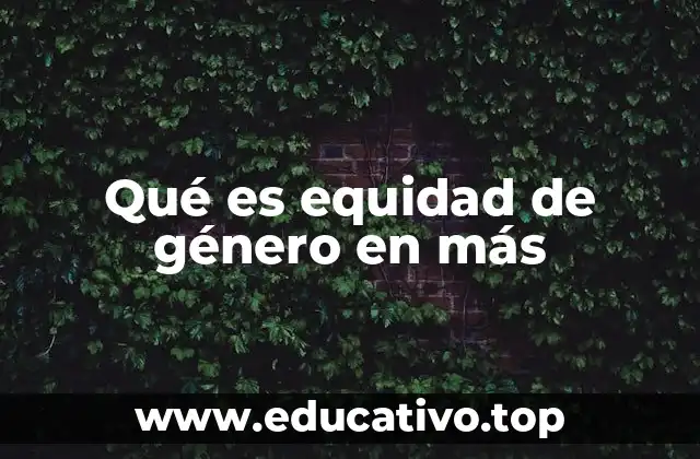 Qué es equidad de género en más