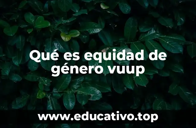 Qué es equidad de género vuup