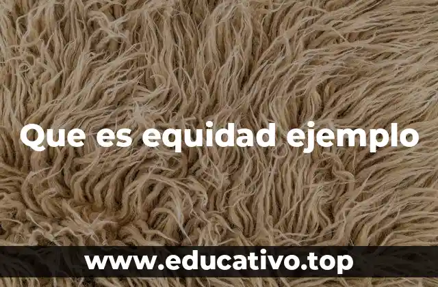 Que es equidad ejemplo