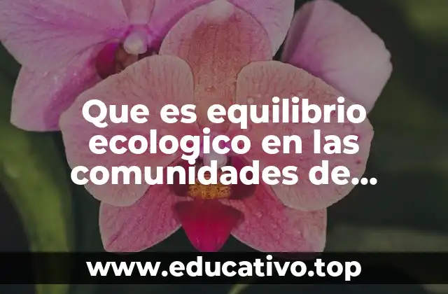 Que es equilibrio ecologico en las comunidades de individuos