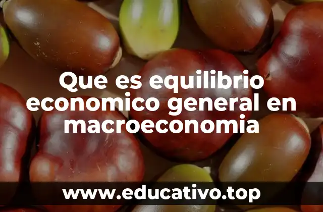 Que es equilibrio economico general en macroeconomia