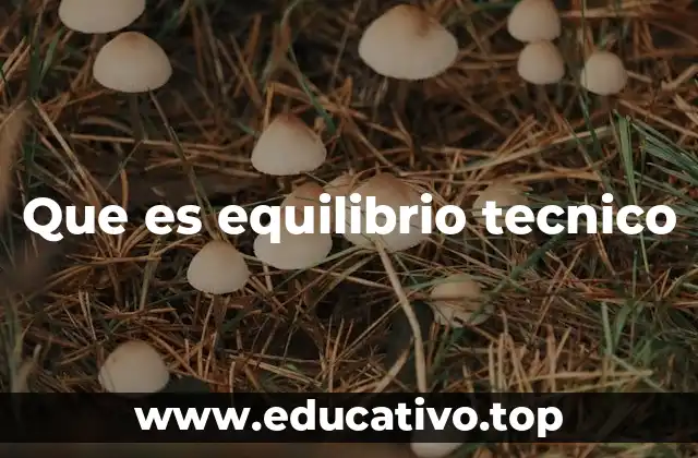 Que es equilibrio tecnico