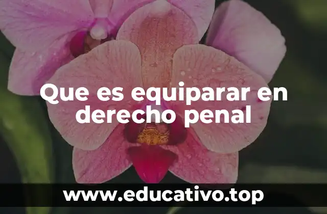 Que es equiparar en derecho penal