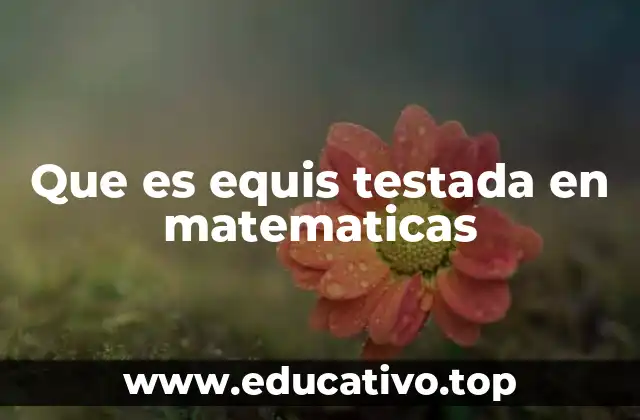 El rol de la variable x en matemáticas