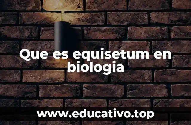 Que es equisetum en biologia