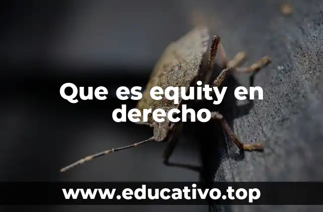 Que es equity en derecho