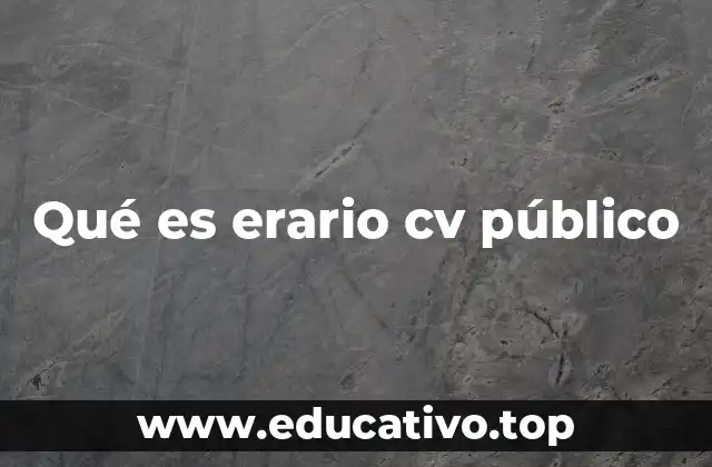 Qué es erario cv público