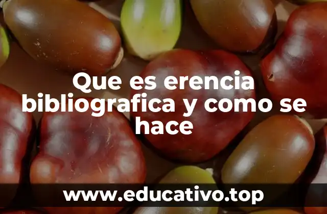 La importancia de citar correctamente las fuentes utilizadas