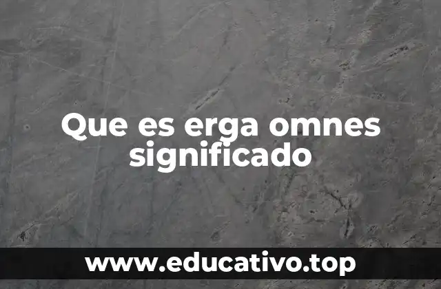 Que es erga omnes significado