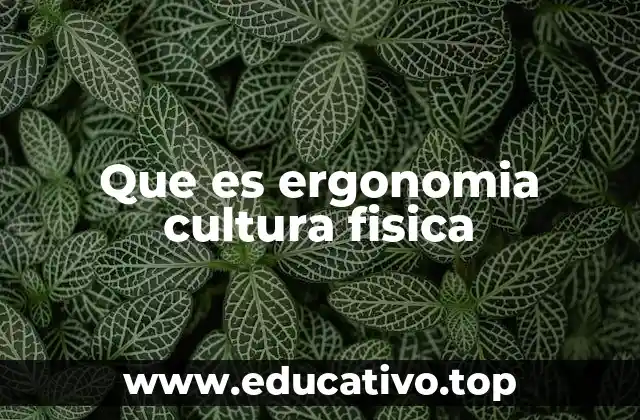 Que es ergonomia cultura fisica