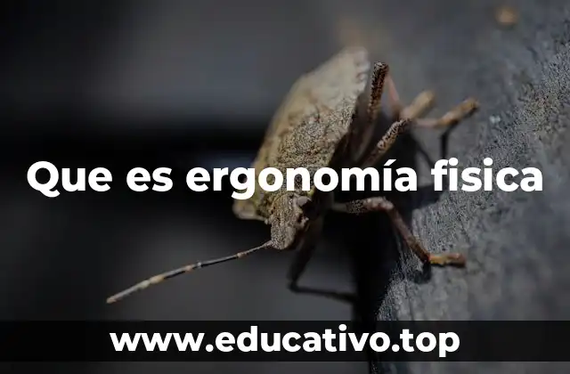 Que es ergonomía fisica