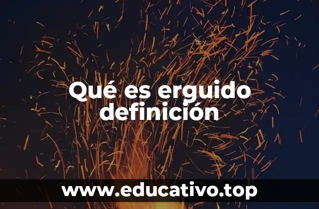 Qué es erguido definición