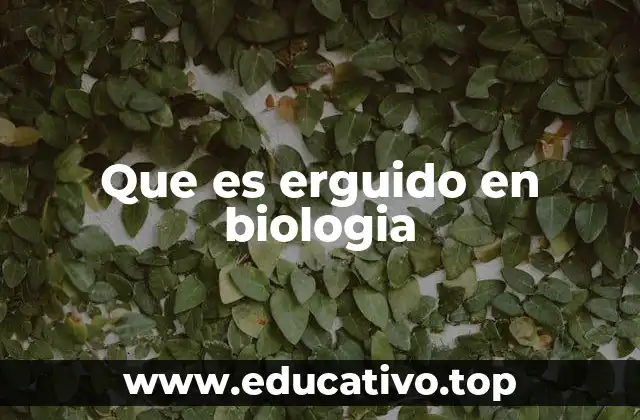 Que es erguido en biologia