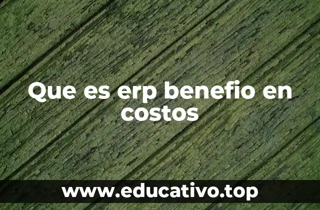 Que es erp benefio en costos