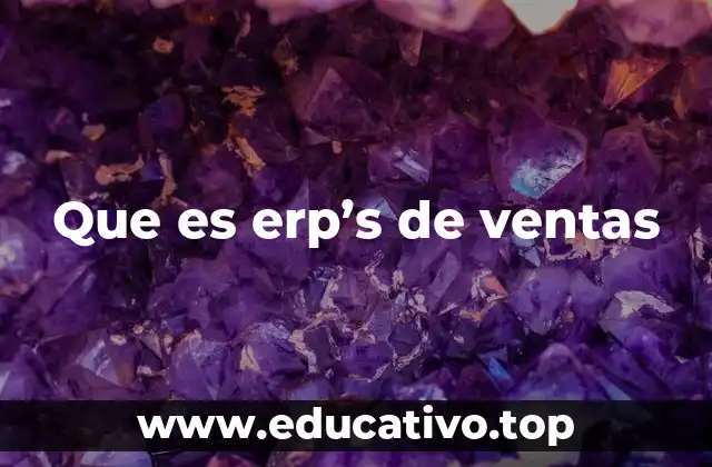 Que es erp’s de ventas