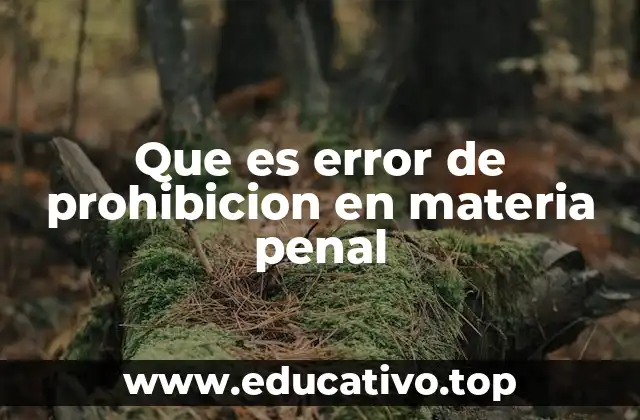 Que es error de prohibicion en materia penal