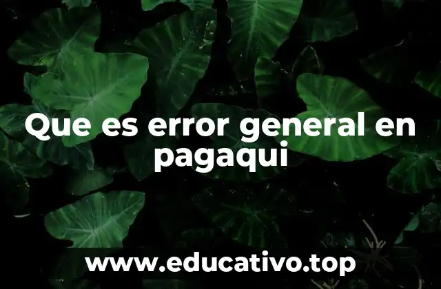 Que es error general en pagaqui
