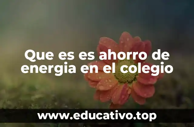 Que es es ahorro de energia en el colegio