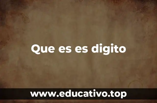 Que es es digito