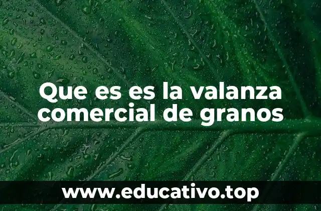Factores que influyen en la valanza comercial