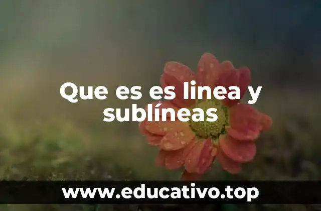 Que es es linea y sublíneas