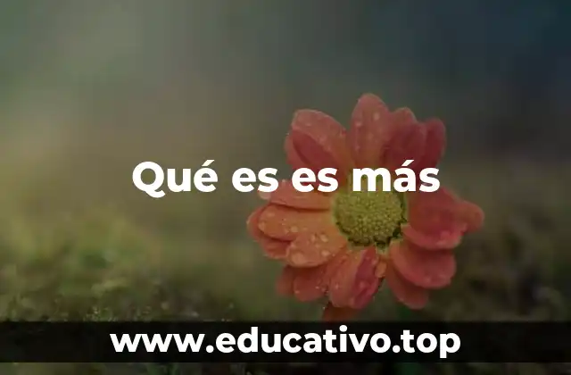Qué es es más