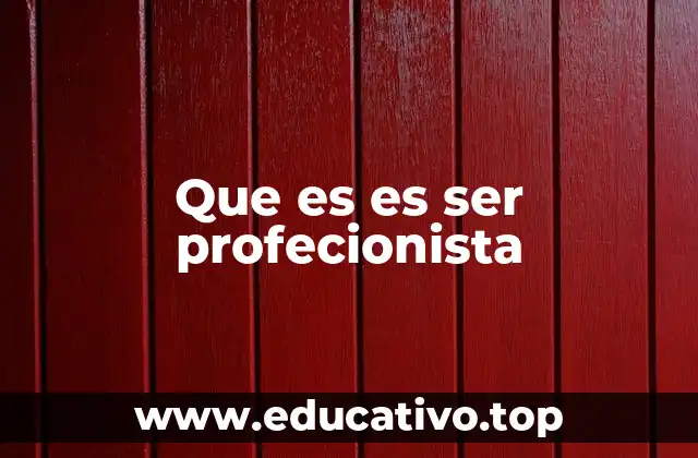 Que es es ser profecionista